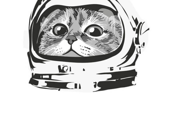 萌趣猫头宇航员印花图案,打造独特服装设计