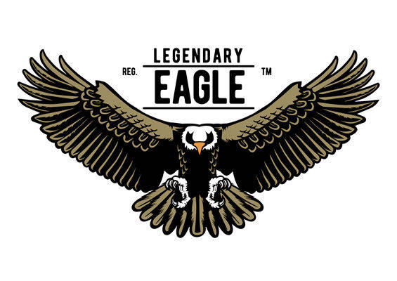 鹰展翅翱翔，打造个性服装印花