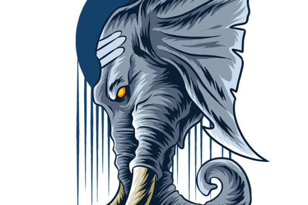 神秘象头裁片印花:独特设计服装印花新选择