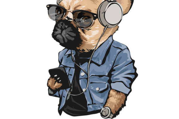 酷狗法斗：时尚裁片印花，打造个性服装