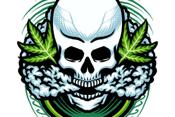 骷髅与绿叶：时尚前卫的服装印花裁片