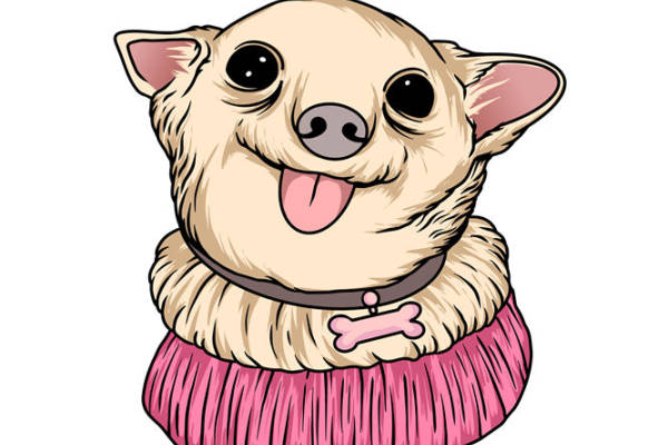 可爱萌宠印花：打造个性服装的绝佳素材