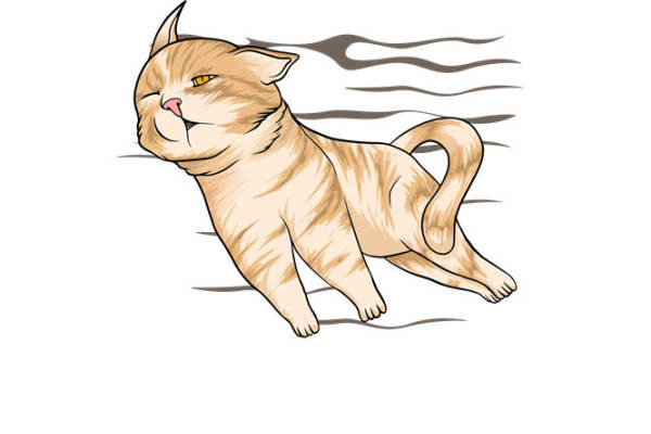 萌趣猫咪印花图案,打造个性服装裁片