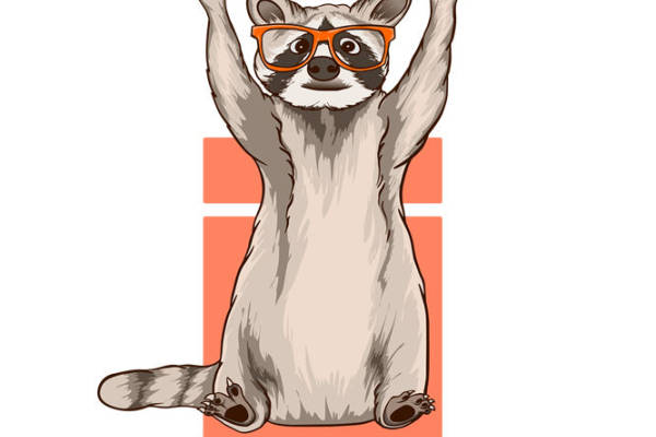 摇滚浣熊：个性裁片印花，打造独特服装