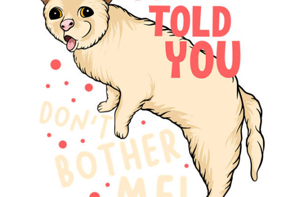 萌宠表情印花：轻松打造个性服装