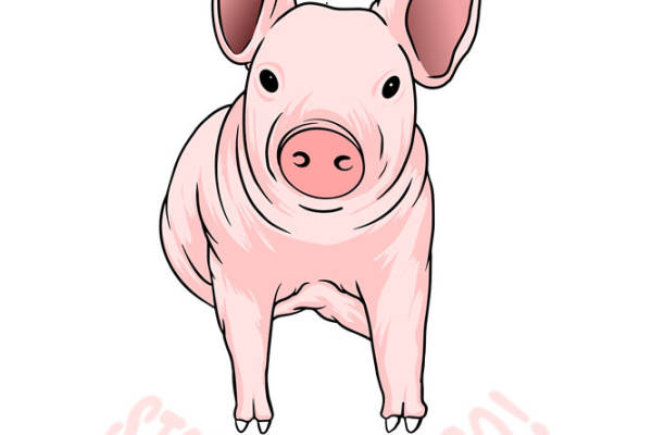 萌趣小猪图案，打造个性服装印花