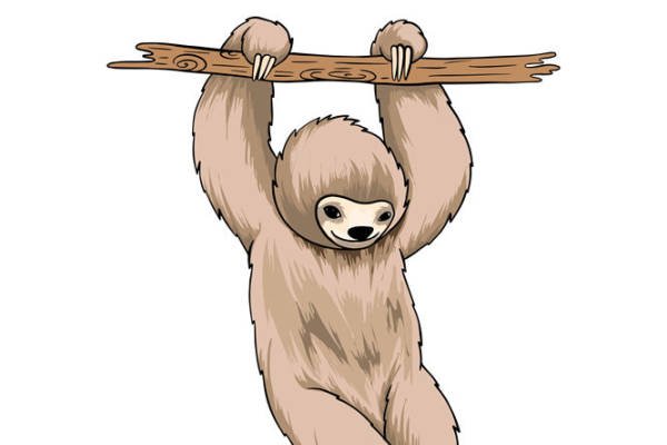 轻松自在的树懒图案服装印花素材