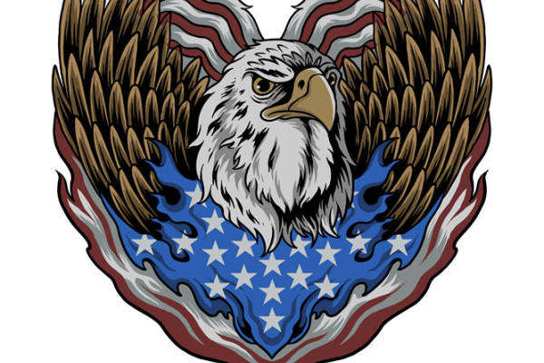 鹰头与美国国旗心形图案服装印花裁片