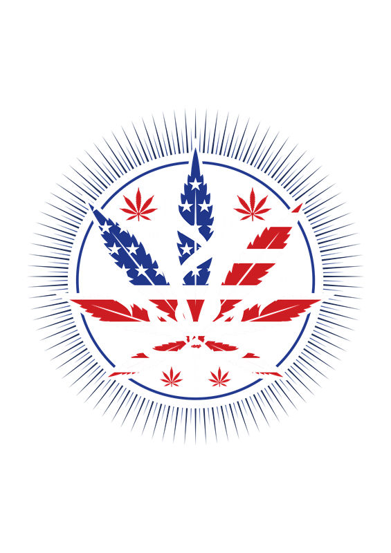 美国国旗与大麻叶融合的创意服装印花