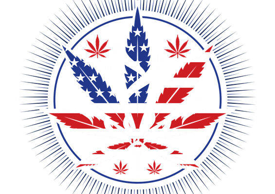 美国国旗与大麻叶融合的创意服装印花