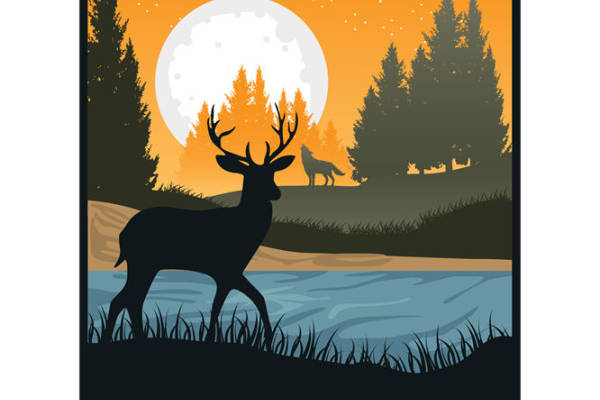 自然野趣的森林夜景印花设计，打造独特服装印花