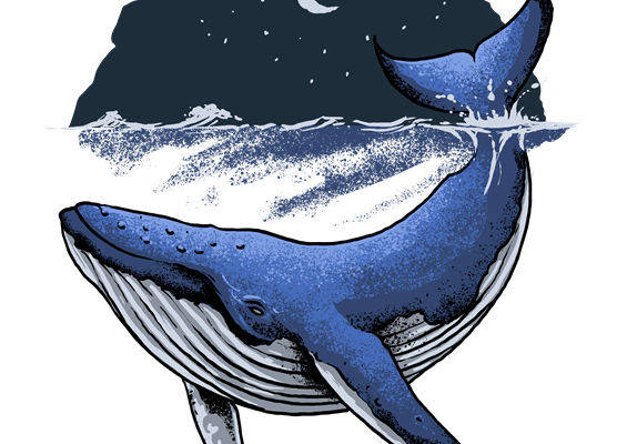 深邃海洋夜色鲸鱼印花素材，打造独特服装设计