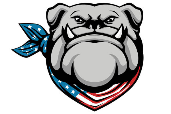 美国国旗斗牛犬头像服装印花裁片设计