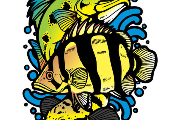 炫彩热带鱼图案服装印花裁片