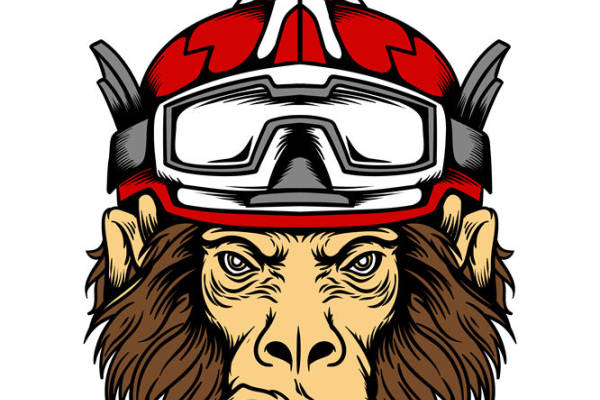 机车猴头印花裁片：独特风格服装印花素材