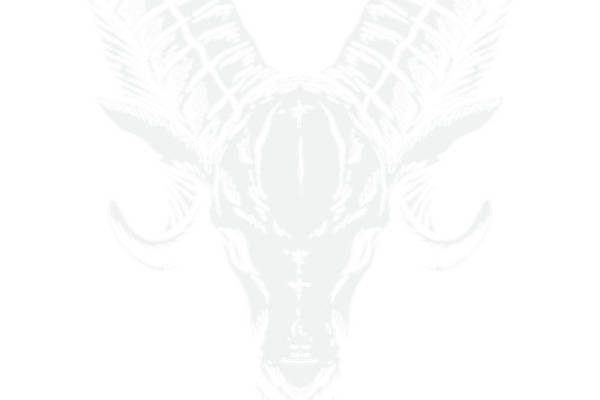 自然风格羊头图案服装印花裁片