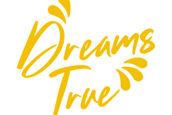 梦幻真丝花型印花，打造优雅时尚的服装