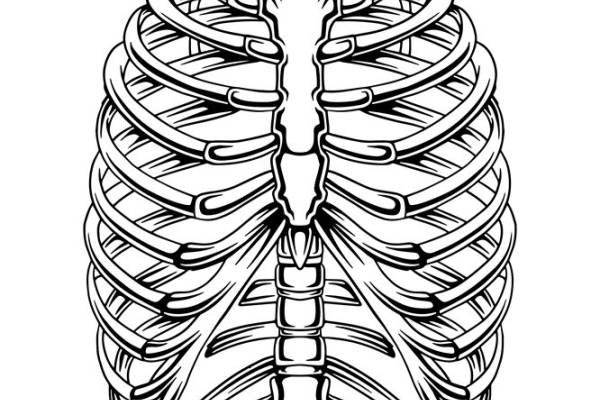 简约大气胸骨纹路服装印花裁片