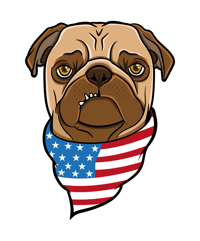 爱国斗牛犬头像裁片印花，时尚个性服装印花素材
