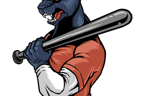 野兽风格裁片印花：老虎图案服装印花