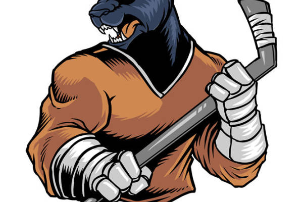 猛虎持棒球棒裁片印花，为你的服装增添力量感