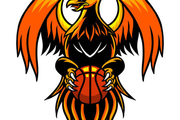 凤凰篮球纹样服装印花裁片设计灵感