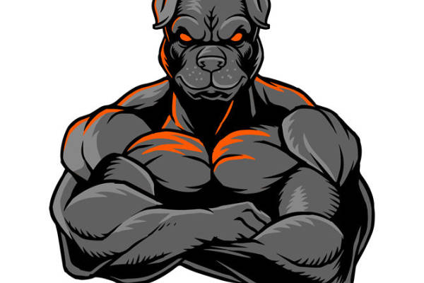 肌肉猛犬：个性十足的服装印花裁片