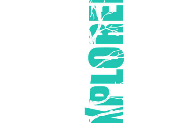 自然森林纹理裁片印花，打造独特服装设计