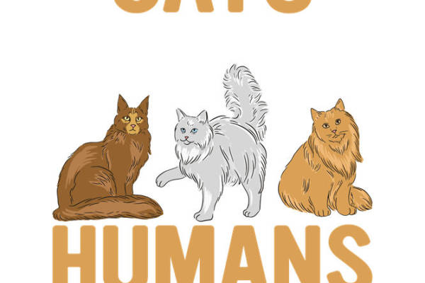 猫咪图案裁片印花，打造个性服装