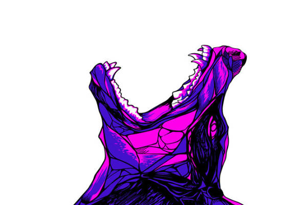 狂野野兽：适合服装印花的裁片印花素材