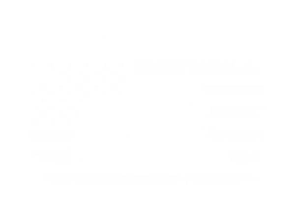 精致复古花型，打造经典服装印花