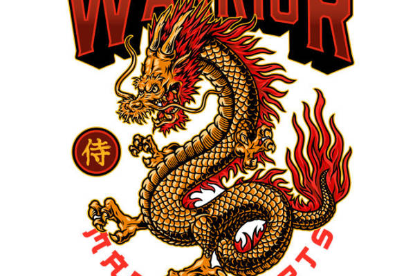 龙图腾裁片印花，打造个性服装