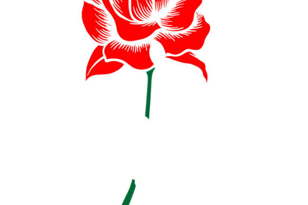 浪漫玫瑰花型裁片印花,打造个性服装