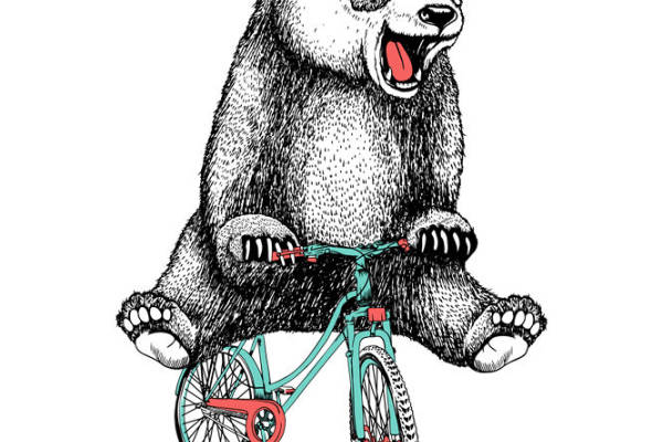 熊猫骑自行车：创意服装印花素材