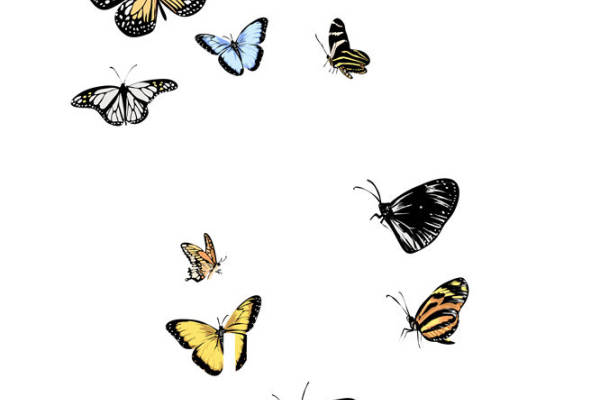 自然蝴蝶纹样裁片印花，打造独特服装设计