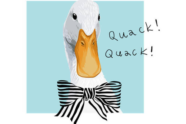 优雅鸭子印花：时尚服装印花裁片