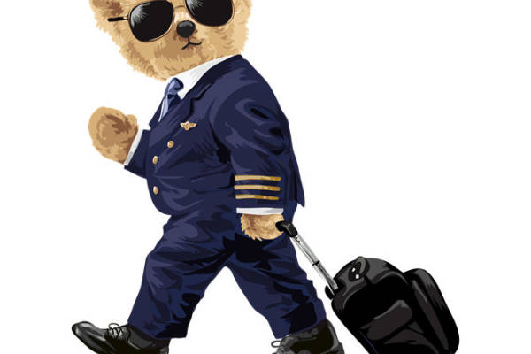 时尚飞行员熊印花：服装印花新宠