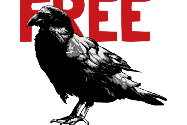 自由飞翔的乌鸦裁片印花，打造个性服装