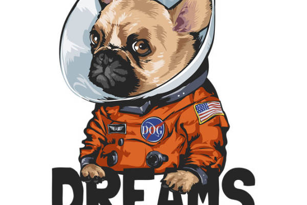 萌宠宇航员图案：创意服装印花设计