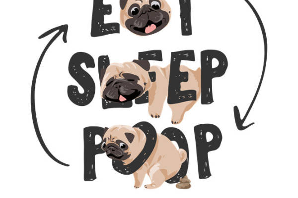 可爱小哈巴狗吃睡拉重复印花设计，适合服装裁片印花