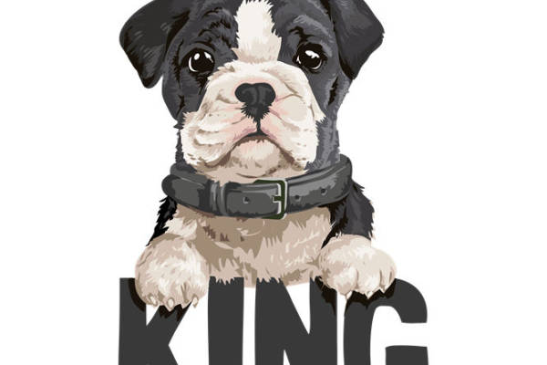 萌宠英伦风裁片印花，打造个性服装