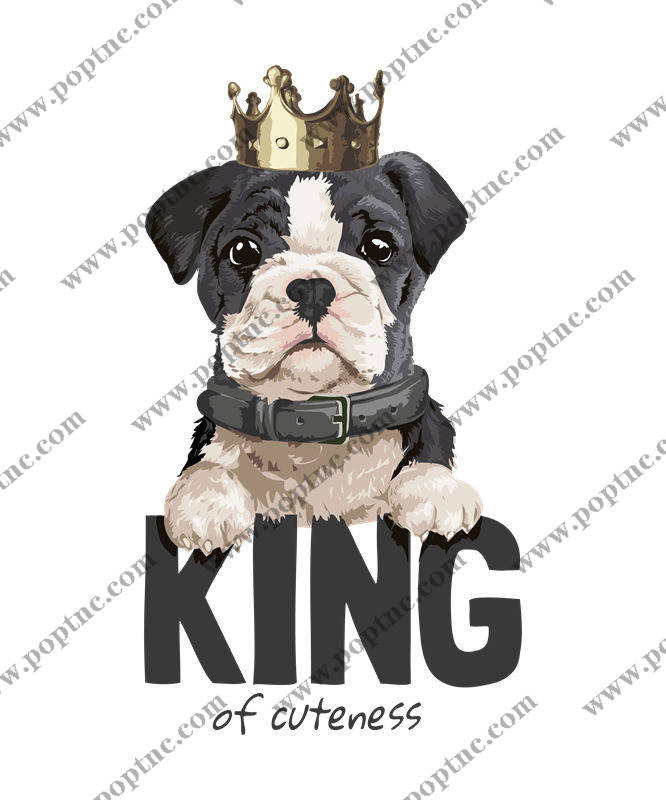 萌宠英伦风裁片印花,打造个性服装