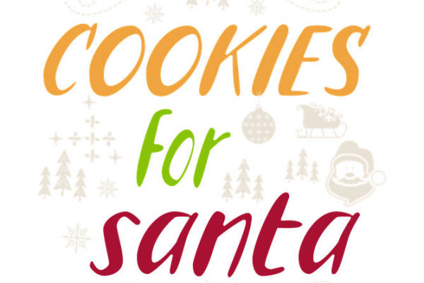 圣诞主题裁片印花：为你的服装增添节日气息