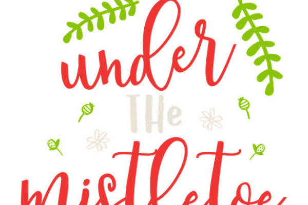 圣诞主题花型印花设计，打造节日服装