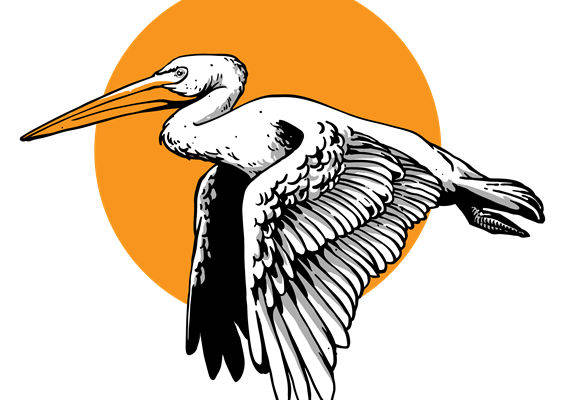 优雅白鹈鹕图案服装印花裁片设计