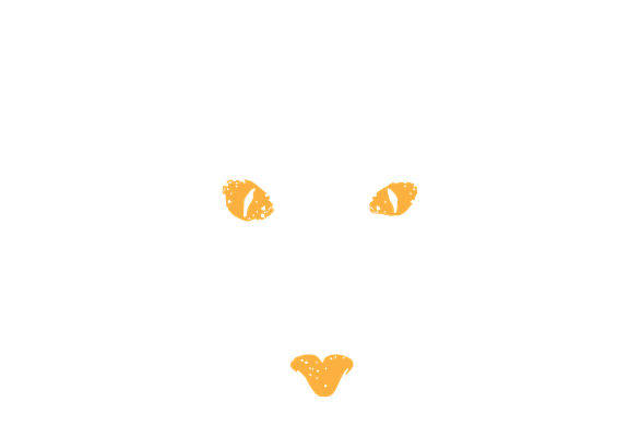 金色猫眼纹理印花：打造独特服装设计