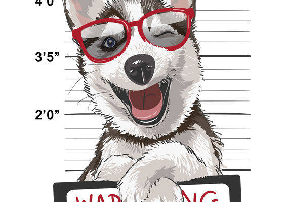 萌趣哈士奇裁片印花，打造个性服装