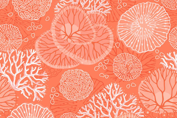 珊瑚礁纹理服装印花面料设计灵感
