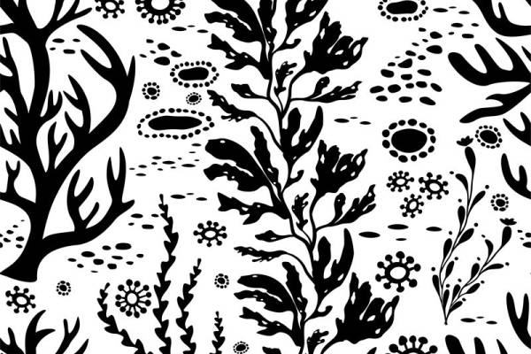 自然森林主题服装印花面料设计