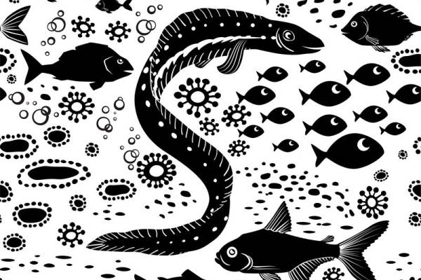 海洋生物图案面料印花，打造个性服装